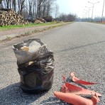 Foto dalla pag. fb di Comitato SalvAmbiente Gattinara