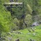Parco Alta Valsesia, conclusi ad Alagna i censimenti primaverili degli ungulati selvatici