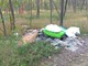 Valsesia, abbandono rifiuti nei boschi: il Comitato SalvAmbiente segnala diverse aree e annuncia la Giornata Ecologica del 22 novembre Valsesia, abbandono rifiuti nei boschi: il Comitato SalvAmbiente segnala diverse aree e annuncia la Giornata Ecologica del 22 novembre