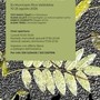 Riva Valdobbia, fino al 25 agosto la mostra collettiva “D’Ambiance” Riva Valdobbia, fino al 25 agosto la mostra collettiva “D’Ambiance”