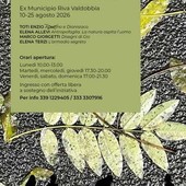 Riva Valdobbia, fino al 25 agosto la mostra collettiva “D’Ambiance” Riva Valdobbia, fino al 25 agosto la mostra collettiva “D’Ambiance”