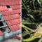 Aziende agricole ed eventi calamitosi: come segnalare i danni