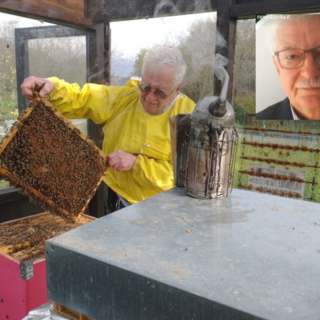Giornata Mondiale delle api: nel Biellese raccolta dell'acacia finalmente abbondante dopo anni difficili