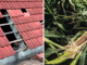 Aziende agricole ed eventi calamitosi: come segnalare i danni