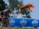 Velocità e intesa con il proprio cane: a Bielmonte va in scena il Campionato Nazionale di Disc Dog (servizio di Massimo Giacobbe per newsbiella.it)