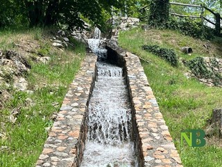 Grande interesse per la Giornata Europea dei Mulini e del Patrimonio Molitorio FOTO e VIDEO di Massimo Giacobbe per newsbiella.it