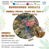 Monte Fenera, domenica escursione guidata tra Pelosa, Croce del Teso e Motto della Capretta