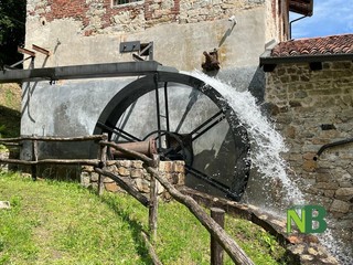 Grande interesse per la Giornata Europea dei Mulini e del Patrimonio Molitorio FOTO e VIDEO di Massimo Giacobbe per newsbiella.it