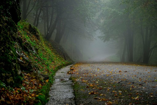 Un Piemonte più verde e resiliente: 13,35 milioni in più per parchi, boschi, corridoi ecologici e aree naturali (foto di repertorio)