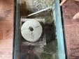 Grande interesse per la Giornata Europea dei Mulini e del Patrimonio Molitorio FOTO e VIDEO di Massimo Giacobbe per newsbiella.it