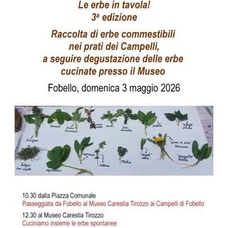 Fobello, al Museo Carestia Tirozzo la terza edizione di “Le erbe in tavola”