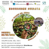 A Grignasco una giornata nel bosco con le Guide ufficiali: escursione tra natura e osservazione il 3 maggio