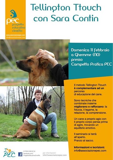 Ghemme: Corso introduttivo di Ttouch per il benessere dei nostri cani