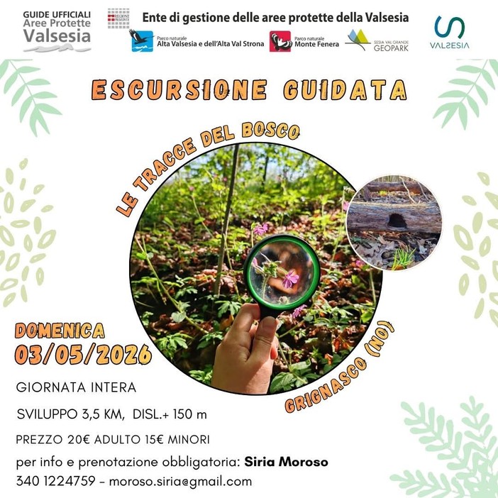 A Grignasco una giornata nel bosco con le Guide ufficiali: escursione tra natura e osservazione il 3 maggio