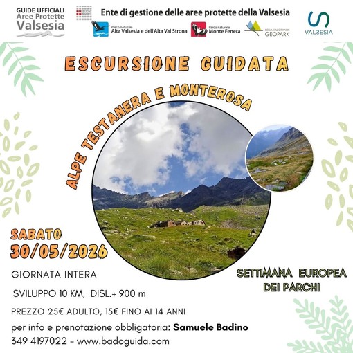 Escursione guidata all’Alpe Testanera, una giornata nella natura guardando al Monte Rosa Escursione guidata all’Alpe Testanera, una giornata nella natura guardando al Monte Rosa