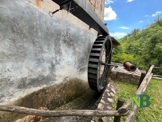Grande interesse per la Giornata Europea dei Mulini e del Patrimonio Molitorio FOTO e VIDEO di Massimo Giacobbe per newsbiella.it