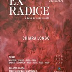 Varallo, Chiara Longo incontra il pubblico alla mostra “Ex Radice”