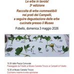Fobello, al Museo Carestia Tirozzo la terza edizione di “Le erbe in tavola”