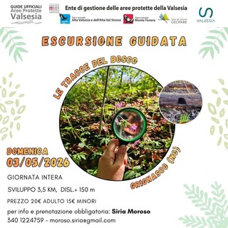 A Grignasco una giornata nel bosco con le Guide ufficiali: escursione tra natura e osservazione il 3 maggio