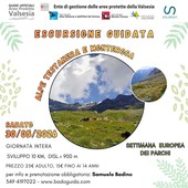Escursione guidata all’Alpe Testanera, una giornata nella natura guardando al Monte Rosa Escursione guidata all’Alpe Testanera, una giornata nella natura guardando al Monte Rosa