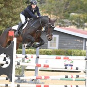 Gattinara, grandi risultati per le amazzoni del Gemini Riding Club tra Verona e le finali nazionali Gattinara, grandi risultati per le amazzoni del Gemini Riding Club tra Verona e le finali nazionali