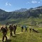 Addestramento in montagna per il Reggimento "Nizza Cavalleria" Addestramento in montagna per il Reggimento "Nizza Cavalleria"
