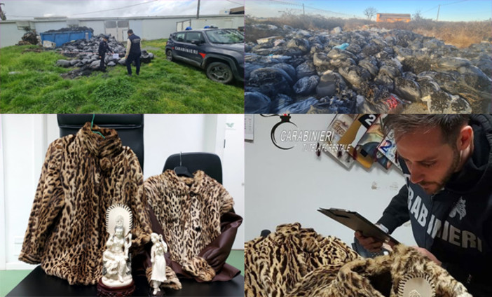 Tutela ambientale, Vercellese in prima linea: 2.565 controlli dei Forestali nel 2025