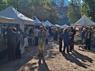 Grande partecipazione alla 28ª Fiera dell’Alta Valsesia a Campertogno