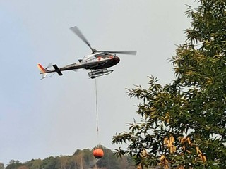 Foto dalla pagina Facebook di Amici del Cavallero Foto dalla pagina Facebook di Amici del Cavallero