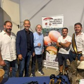 A Scopello il mondo dei funghi diventa occasione di conoscenza, turismo e sicurezza