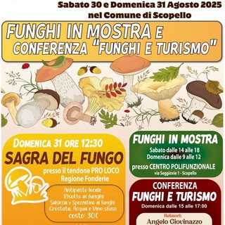 Profumi d’autunno a Scopello: torna la Mostra e Conferenza dei Funghi