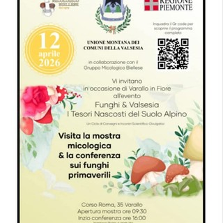 A Varallo una mostra micologica e una conferenza sui funghi primaverili per “Funghi &amp; Valsesia”