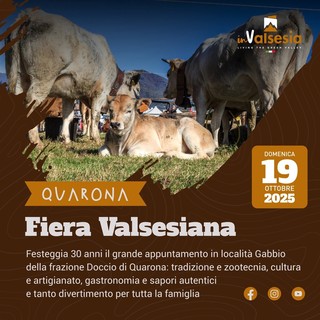 Le fiere del bestiame in Valsesia: un autunno di tradizione