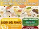 Profumi d’autunno a Scopello: torna la Mostra e Conferenza dei Funghi