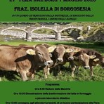 A Isolella torna la “Fera dal Borg”: tradizione, allevatori e sapori degli alpeggi