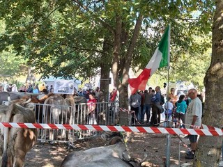 Grande partecipazione alla 28ª Fiera dell’Alta Valsesia a Campertogno