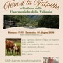 A Rimasco la Fera d’la Valpitta con il raduno delle fisarmoniche della Valsesia