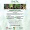 Forest Trek a Romagnano Sesia, domenica una camminata tra natura e Forest Bathing