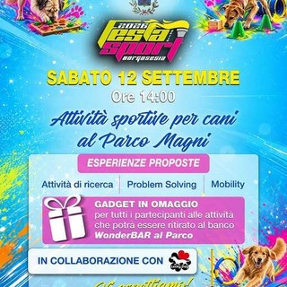 A Borgosesia la Festa dello Sport coinvolge anche i cani: attività e giochi al Parco Magni