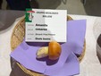 A Scopello il mondo dei funghi diventa occasione di conoscenza, turismo e sicurezza
