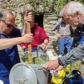 Fobello, domenica tra erbe spontanee, musei e tradizioni valsesiane