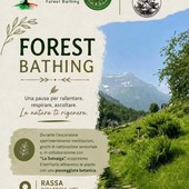 Rassa, il 22 agosto una mattinata di Forest Bathing tra meditazione e botanica Rassa, il 22 agosto una mattinata di Forest Bathing tra meditazione e botanica