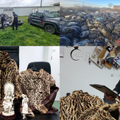 Tutela ambientale, Vercellese in prima linea: 2.565 controlli dei Forestali nel 2025