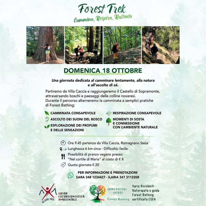 Forest Trek a Romagnano Sesia, domenica una camminata tra natura e Forest Bathing Forest Trek a Romagnano Sesia, domenica una camminata tra natura e Forest Bathing