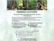 Forest Trek a Romagnano Sesia, domenica una camminata tra natura e Forest Bathing Forest Trek a Romagnano Sesia, domenica una camminata tra natura e Forest Bathing