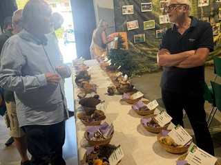 A Scopello il mondo dei funghi diventa occasione di conoscenza, turismo e sicurezza
