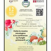 A Varallo una mostra micologica e una conferenza sui funghi primaverili per “Funghi &amp; Valsesia”