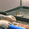 ASL di Vercelli: ricerca e innovazione per una sanità più sicura e sostenibile