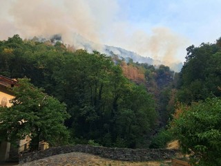 Foto dalla pagina Facebook di Amici del Cavallero Foto dalla pagina Facebook di Amici del Cavallero