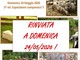 Rinviata al 24 maggio la Fiera della Valmastallone a Fobello